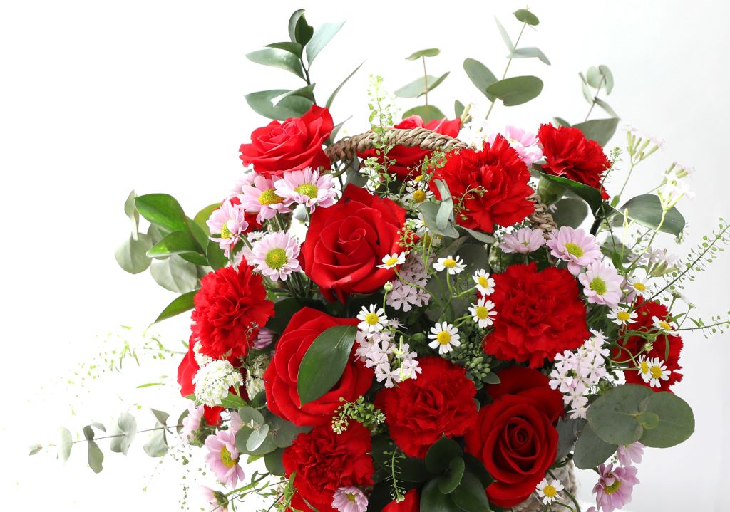 []What a Beautiful!  ɹ