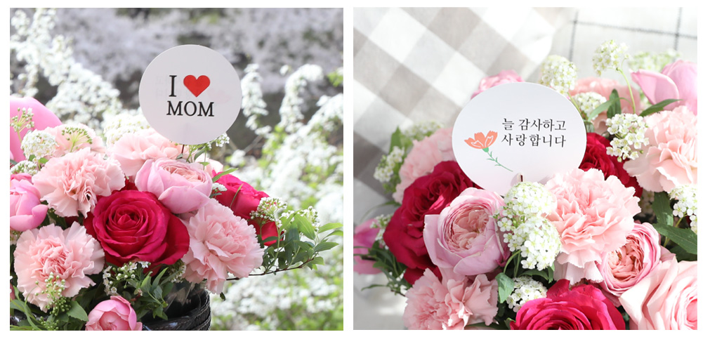 [,]Oh, my dear~!  ɹ