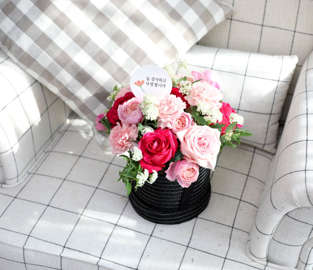 [,]Oh, my dear~!  ɹ