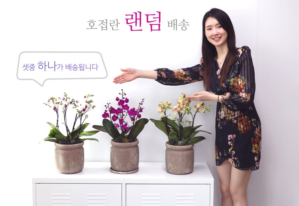 []ູ ϴ ȣ  ()(ȭ⺯)  ɹ