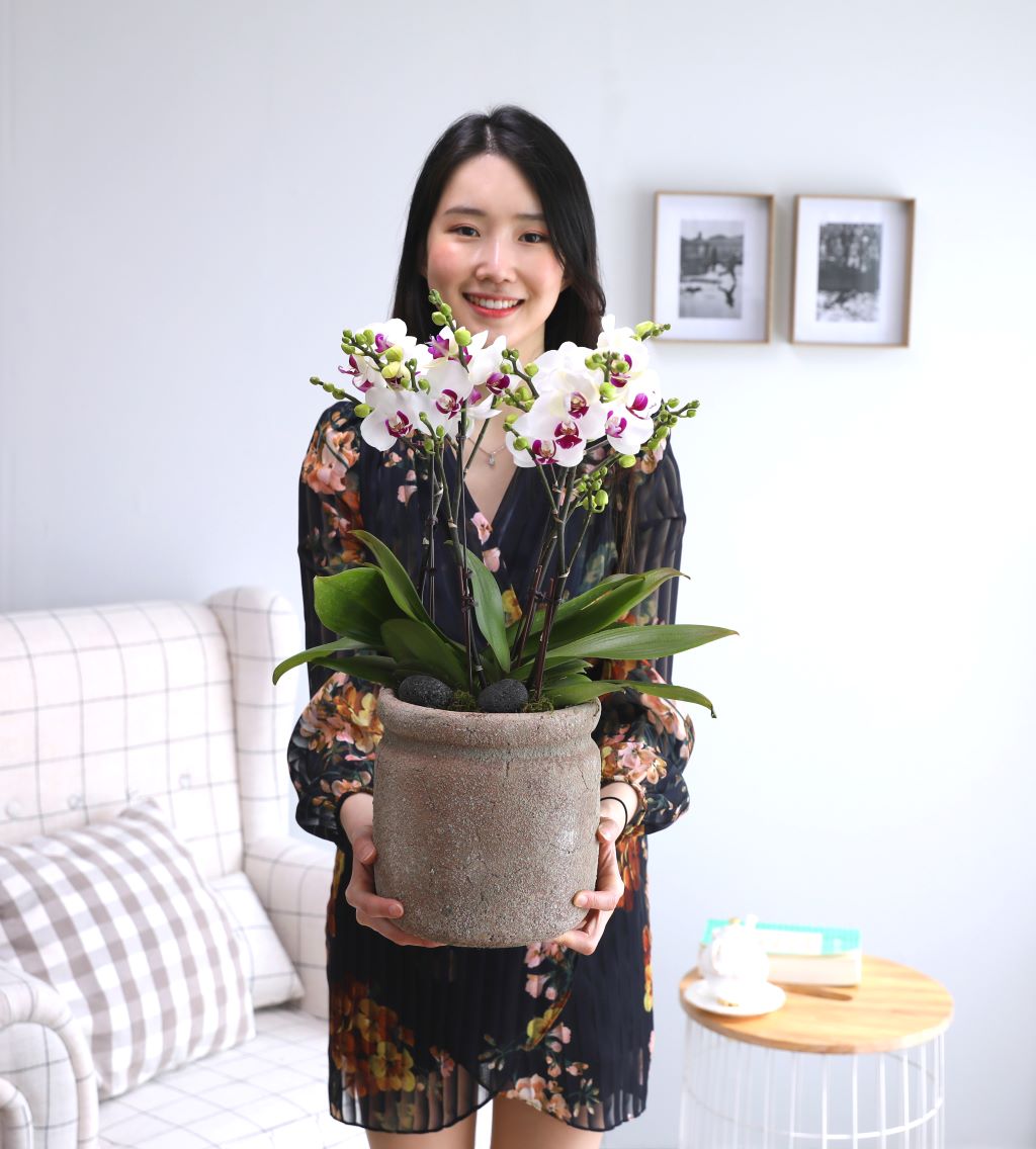 []ູ ϴ ȣ  ()(ȭ⺯)  ɹ