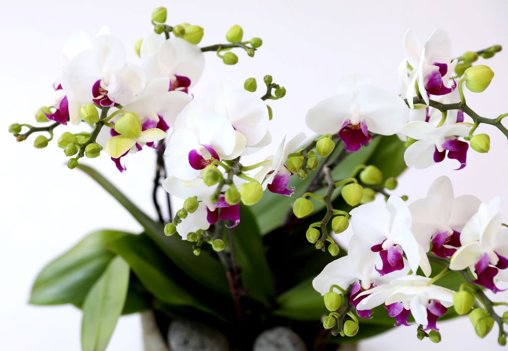 []ູ ϴ ȣ  ()(ȭ⺯)  ɹ