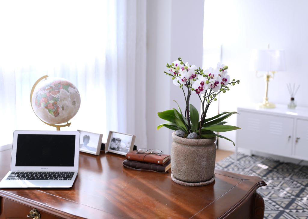 []ູ ϴ ȣ  ()(ȭ⺯)  ɹ