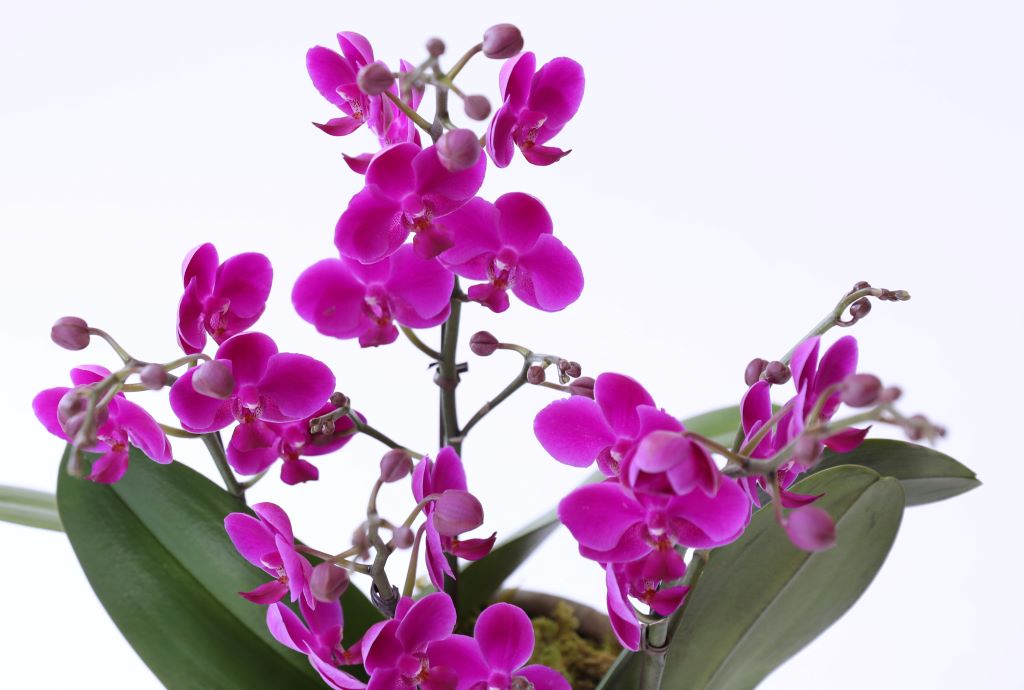 []ູ ϴ ȣ  ()(ȭ⺯)  ɹ