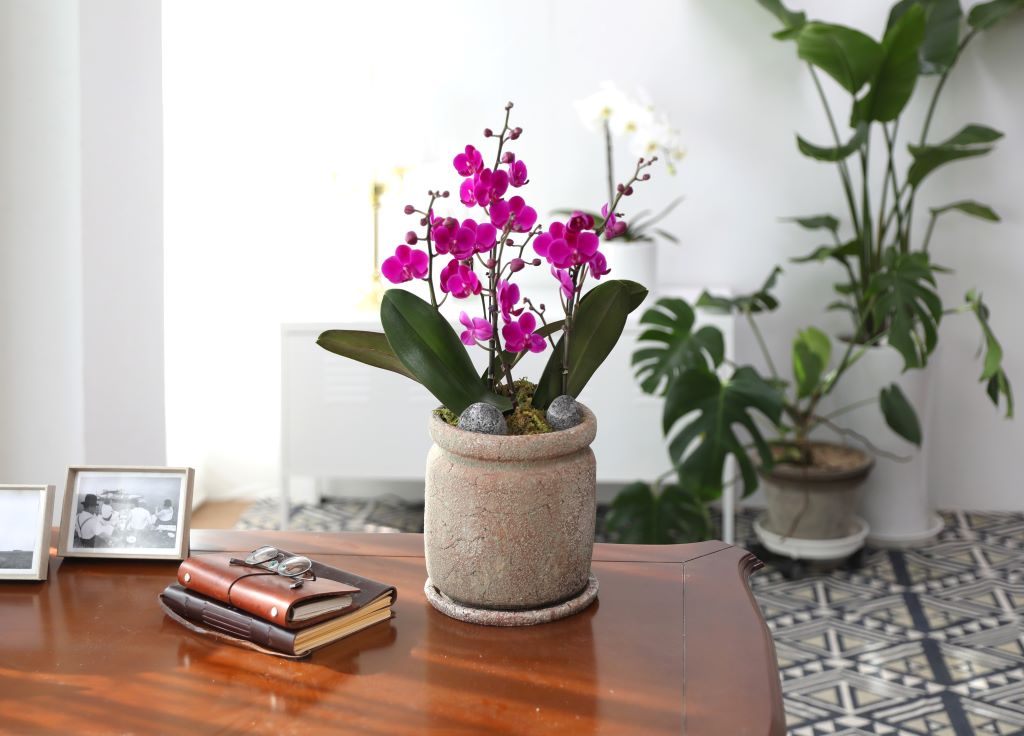 []ູ ϴ ȣ  ()(ȭ⺯)  ɹ