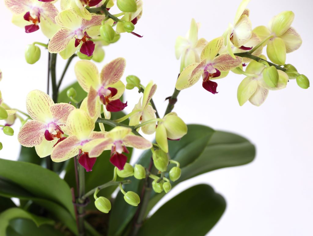 []ູ ϴ ȣ  ()(ȭ⺯)  ɹ