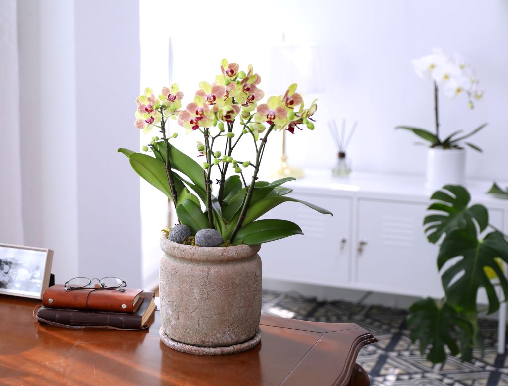 []ູ ϴ ȣ  ()(ȭ⺯)  ɹ