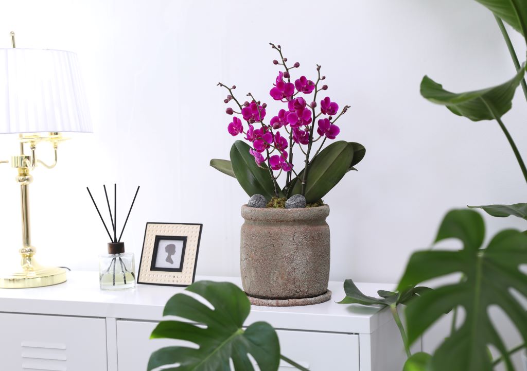 []ູ ϴ ȣ  ()(ȭ⺯)  ɹ