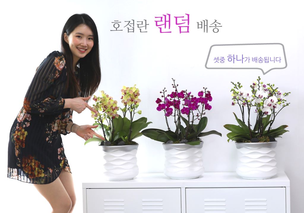 []ູ ϴ ȣ  ()(ȭ⺯)