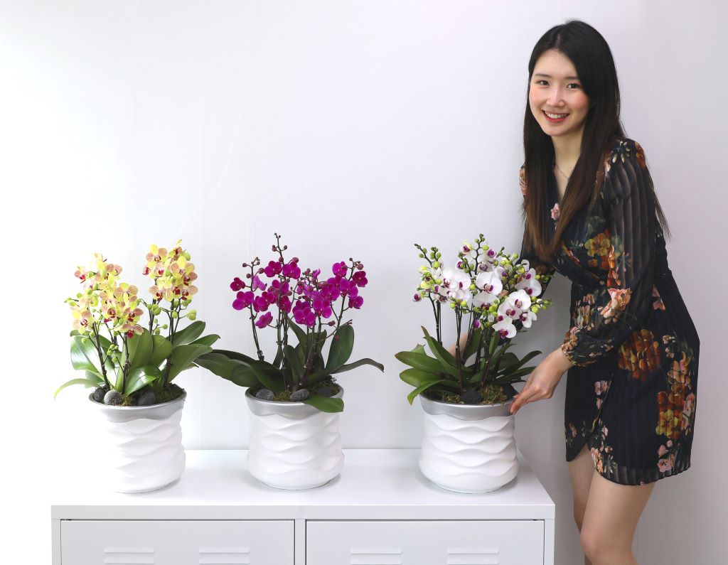 []ູ ϴ ȣ  ()(ȭ⺯)