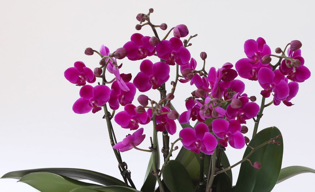 []ູ ϴ ȣ  ()(ȭ⺯)