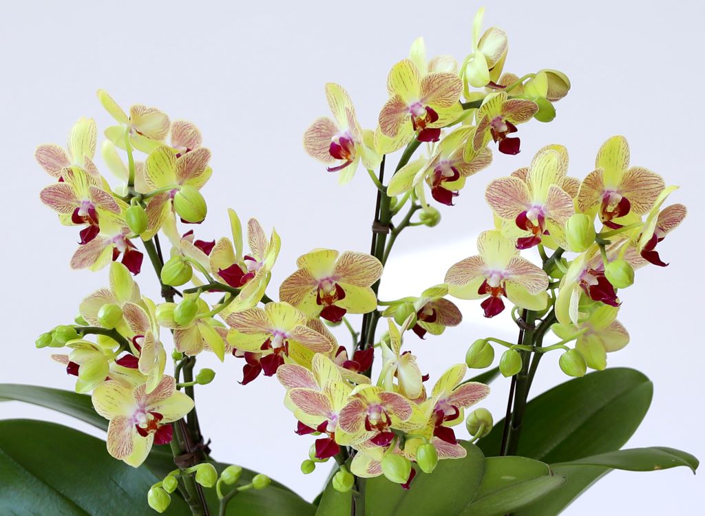 []ູ ϴ ȣ  ()(ȭ⺯)