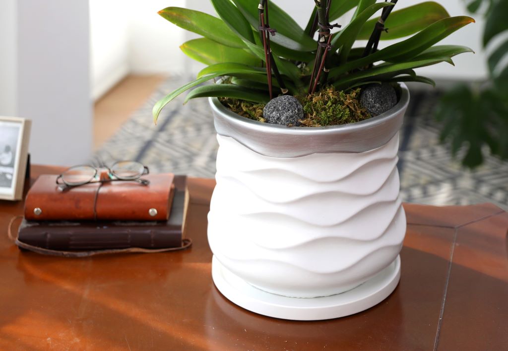 []ູ ϴ ȣ  ()(ȭ⺯)