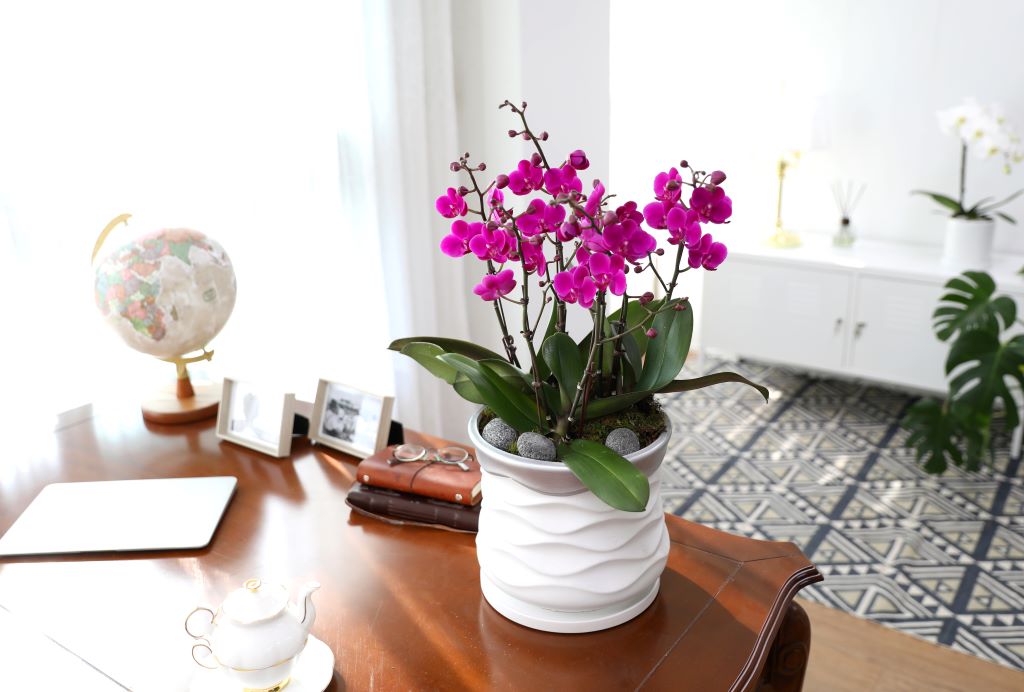 []ູ ϴ ȣ  ()(ȭ⺯)