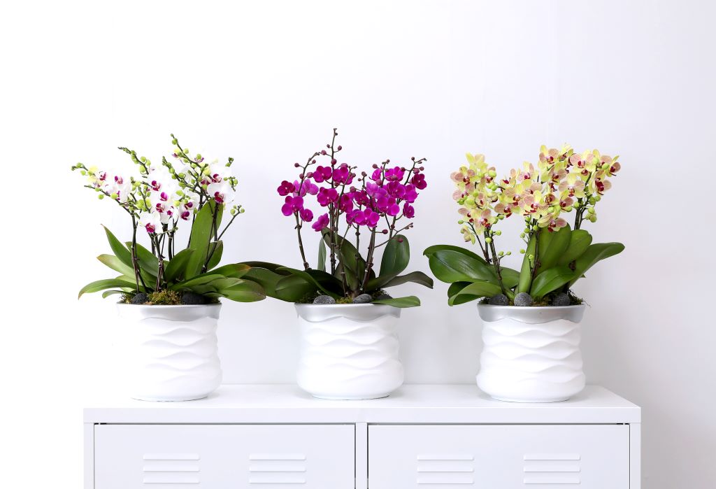 []ູ ϴ ȣ  ()(ȭ⺯)