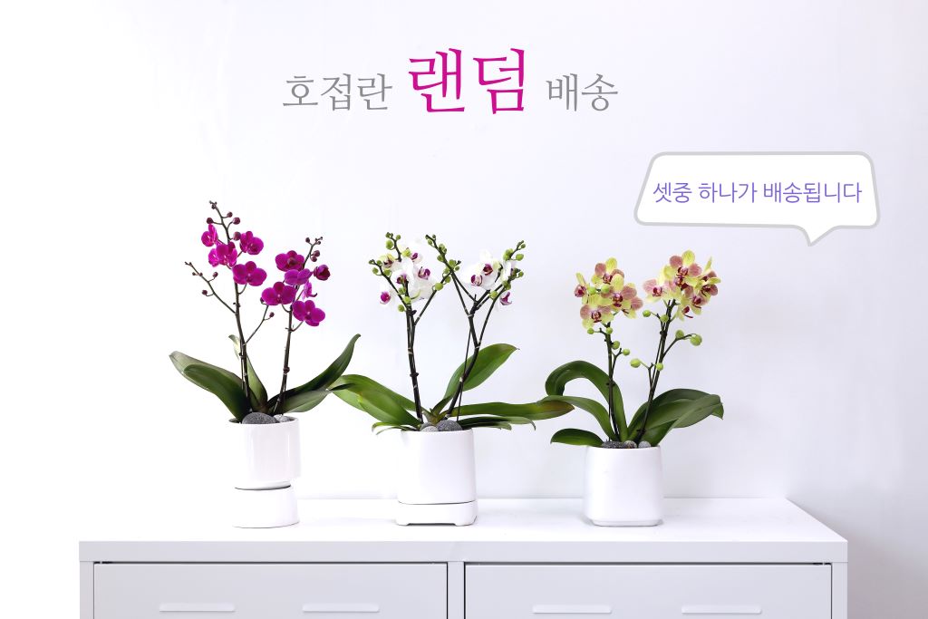 []ູ ϴ ȣ  ()(ȭ⺯)