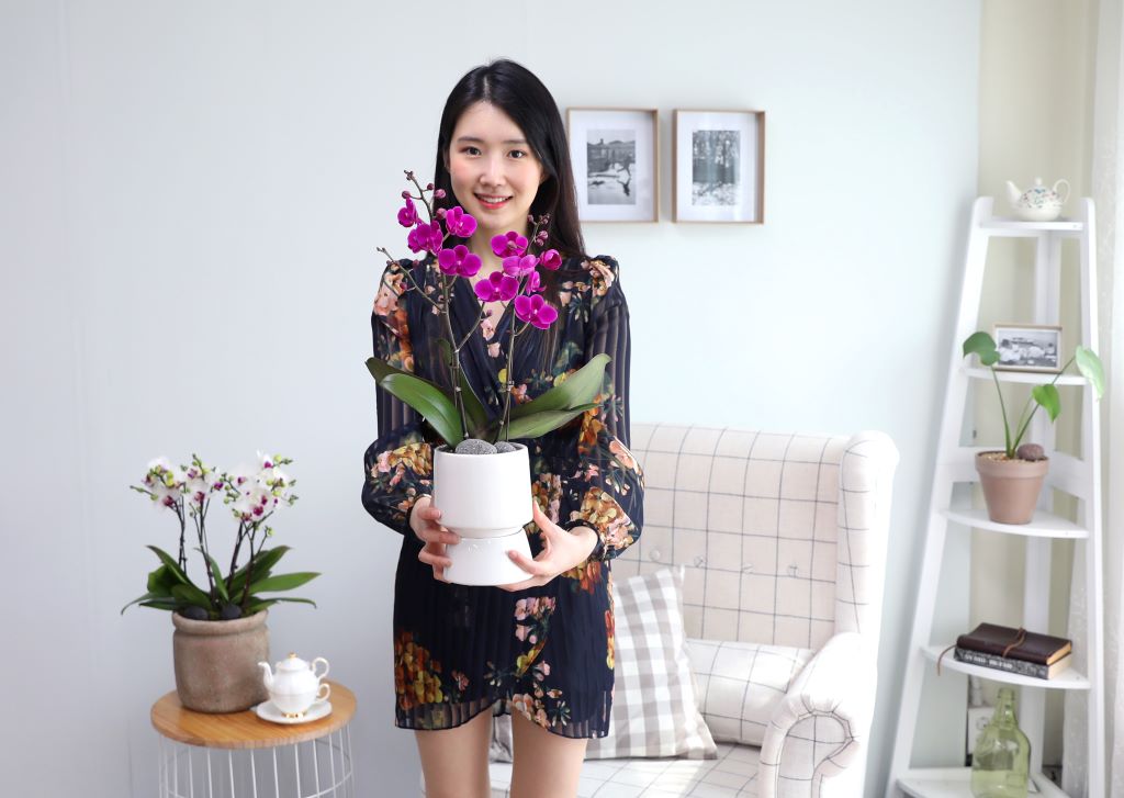 []ູ ϴ ȣ  ()(ȭ⺯)