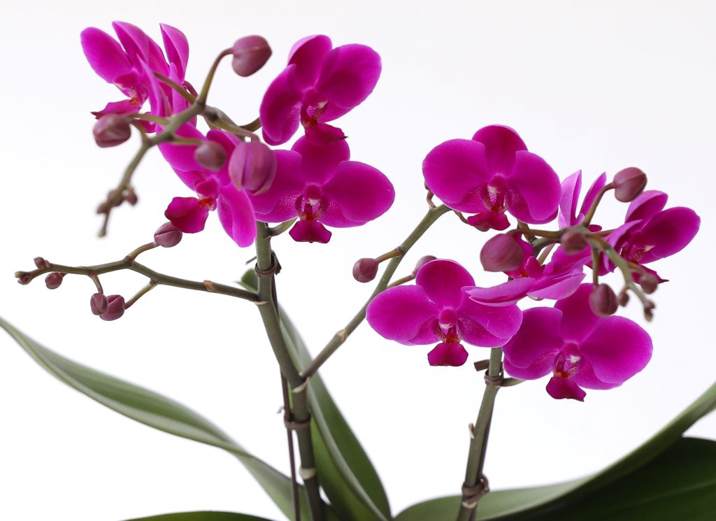 []ູ ϴ ȣ  ()(ȭ⺯)