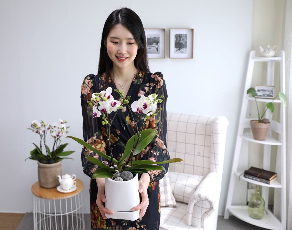 []ູ ϴ ȣ  ()(ȭ⺯)