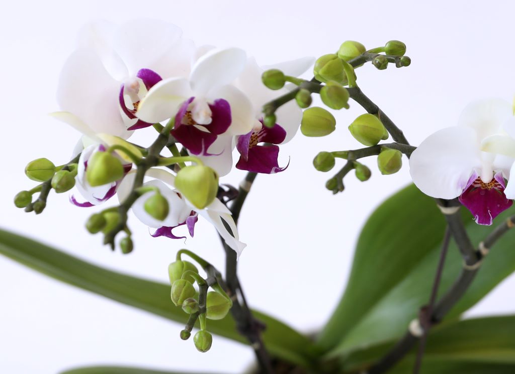 []ູ ϴ ȣ  ()(ȭ⺯)