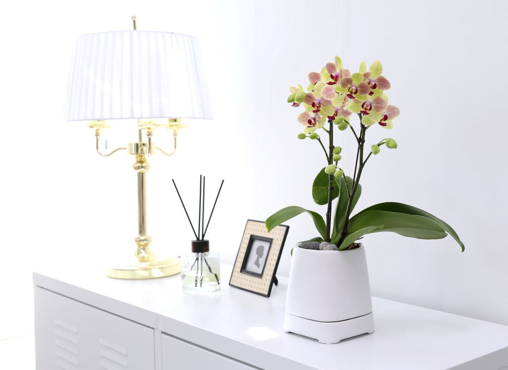 []ູ ϴ ȣ  ()(ȭ⺯)