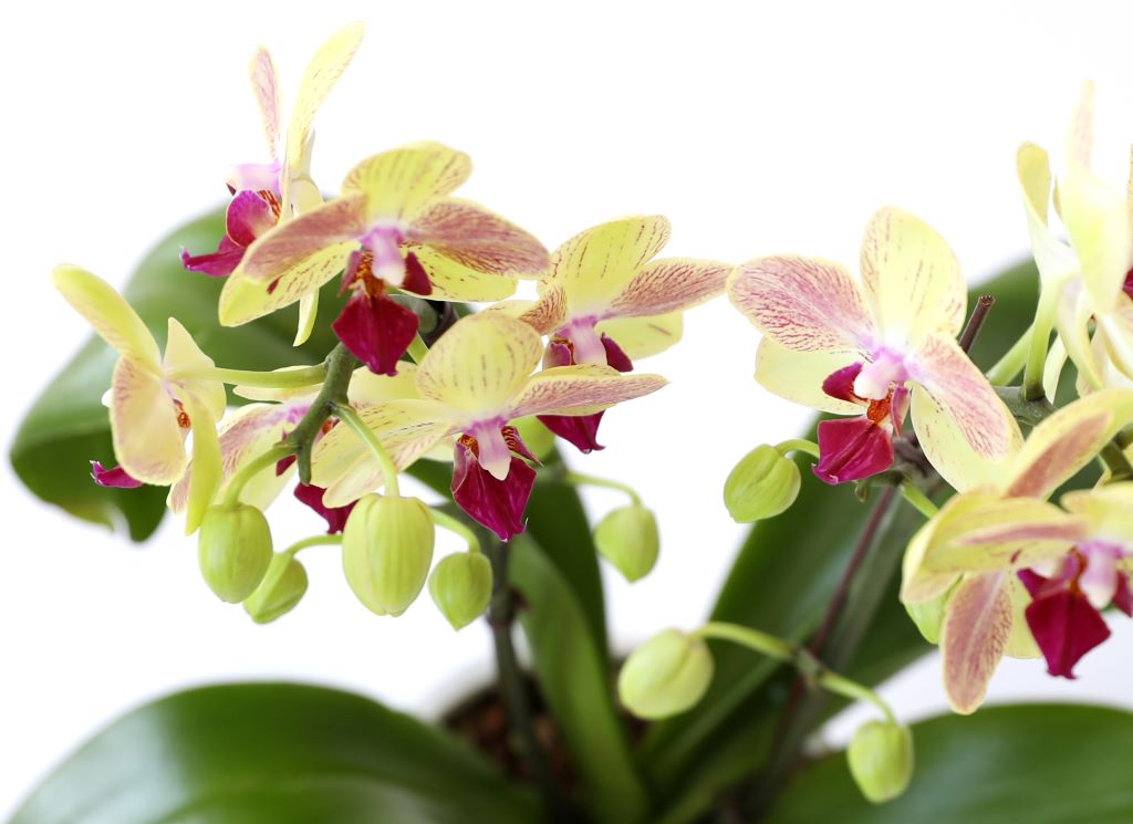 []ູ ϴ ȣ  ()(ȭ⺯)