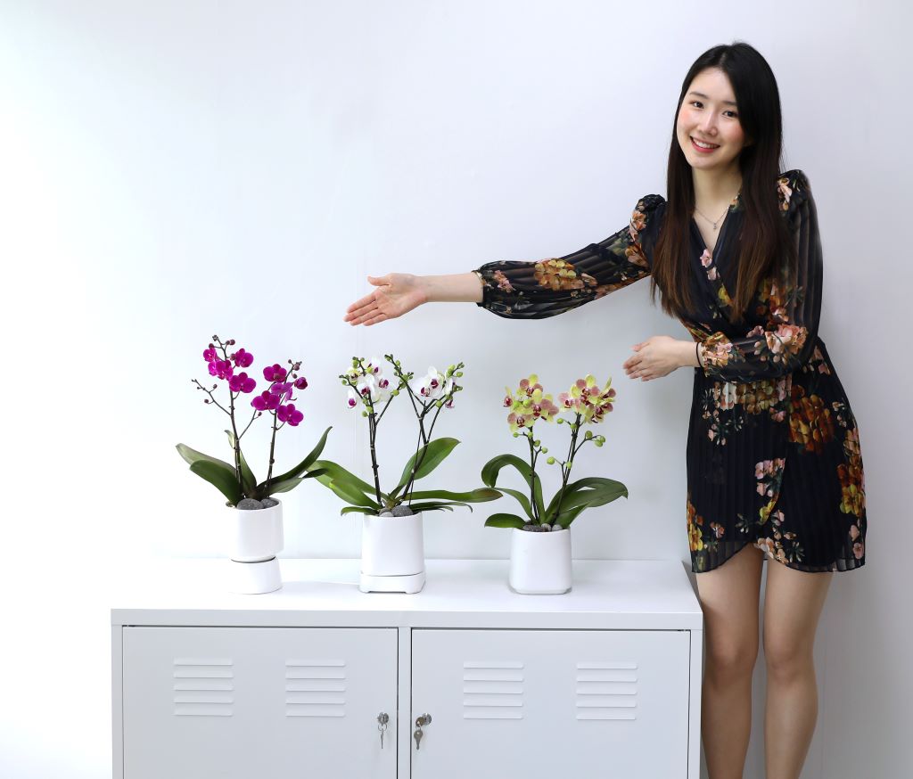 []ູ ϴ ȣ  ()(ȭ⺯)