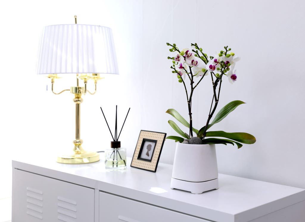 []ູ ϴ ȣ  ()(ȭ⺯)