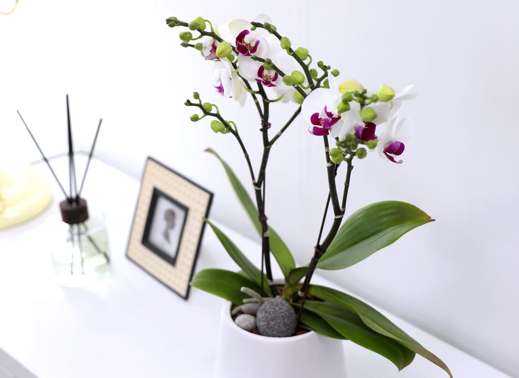 []ູ ϴ ȣ  ()(ȭ⺯)