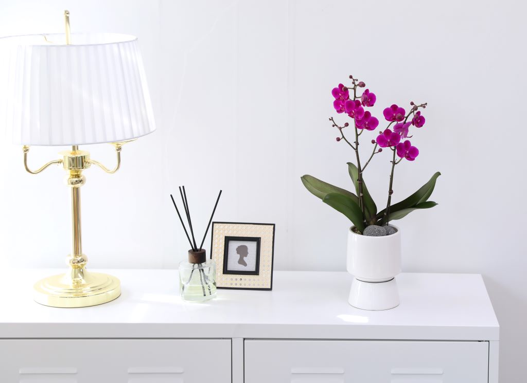 []ູ ϴ ȣ  ()(ȭ⺯)