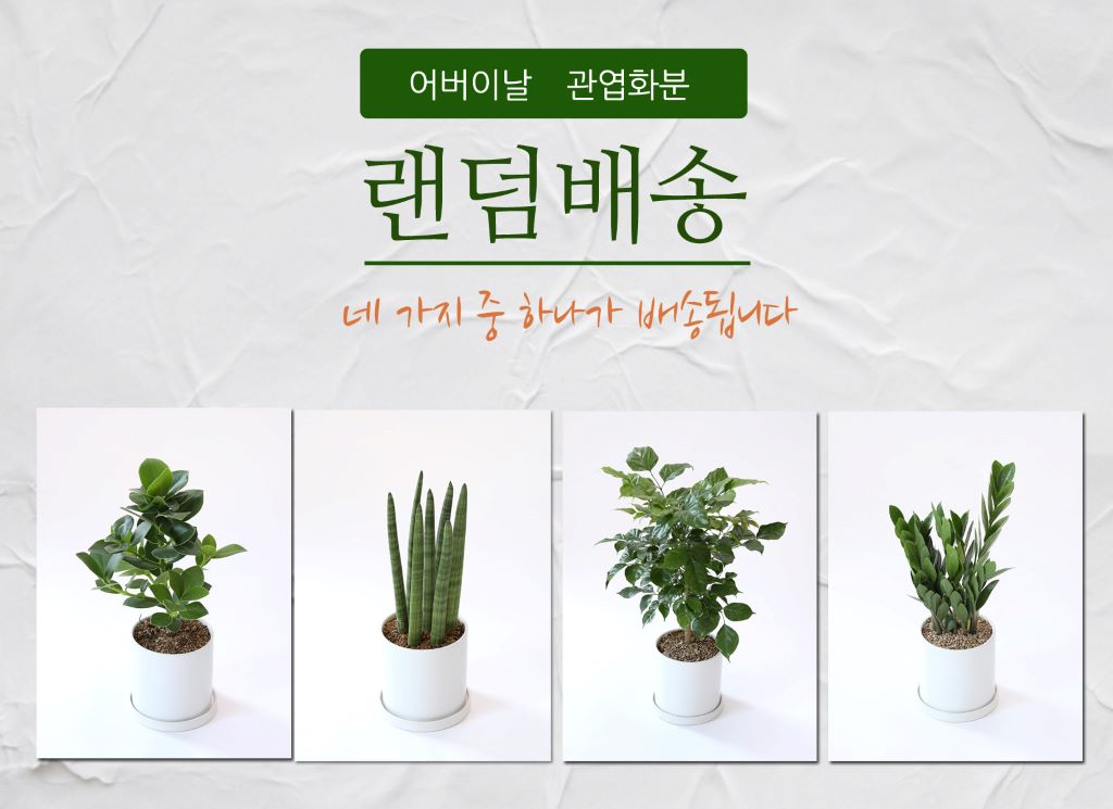 [] 縦 ϴ ȭ ()  (ȭ⺯)  ɹ