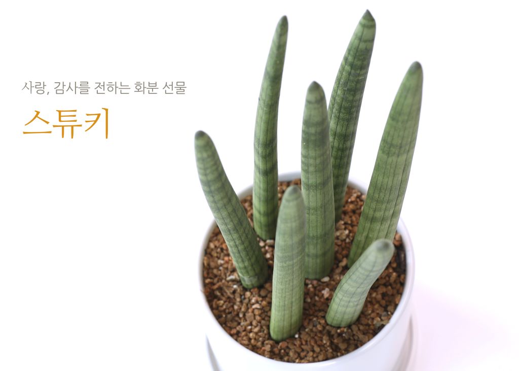 [] 縦 ϴ ȭ ()  (ȭ⺯)  ɹ