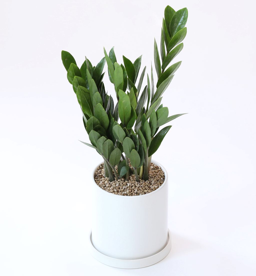 [] 縦 ϴ ȭ ()  (ȭ⺯)  ɹ