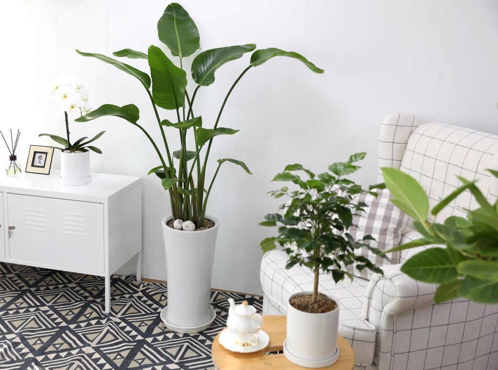 [] 縦 ϴ ȭ ()  (ȭ⺯)  ɹ