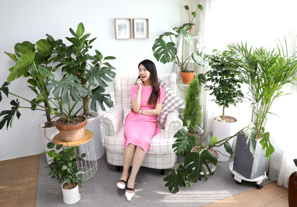 [] 縦 ϴ ȭ ()  (ȭ⺯)  ɹ