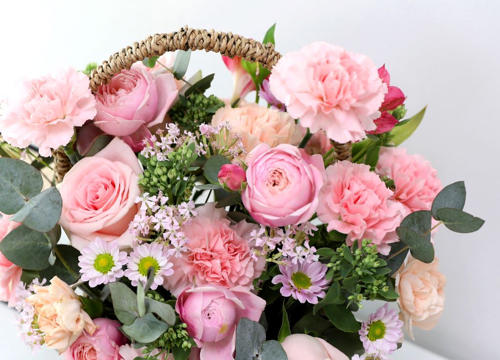 []ǳ ɹٱ- ߿ ϳ ۵˴ϴ(ũͷ)  ɹ