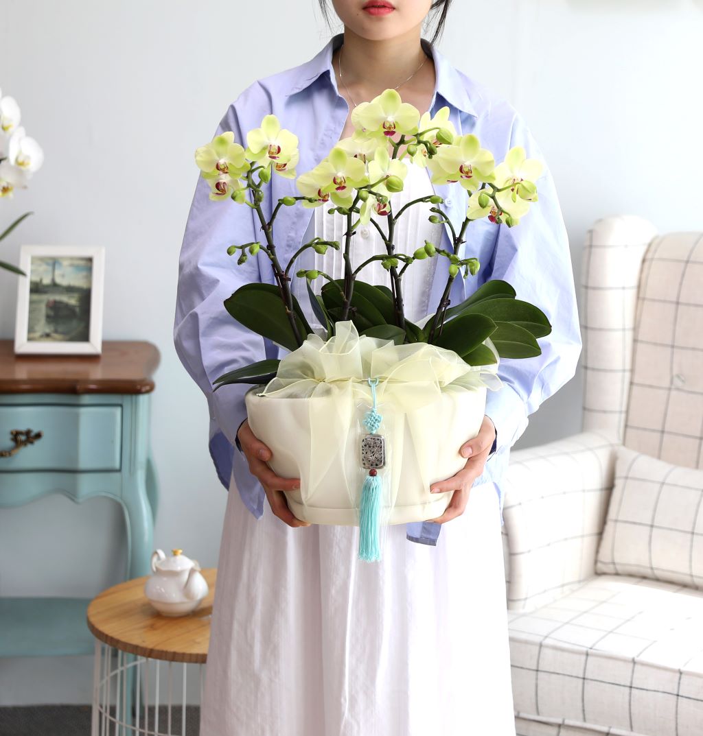 ǳ  ȣ  - ȣ  (,Ϻθ)  ɹ