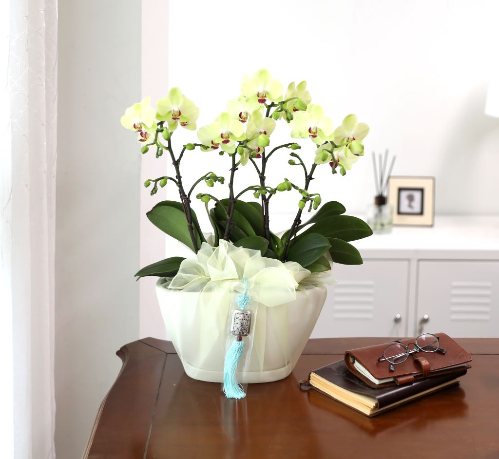 ǳ  ȣ  - ȣ  (,Ϻθ)  ɹ