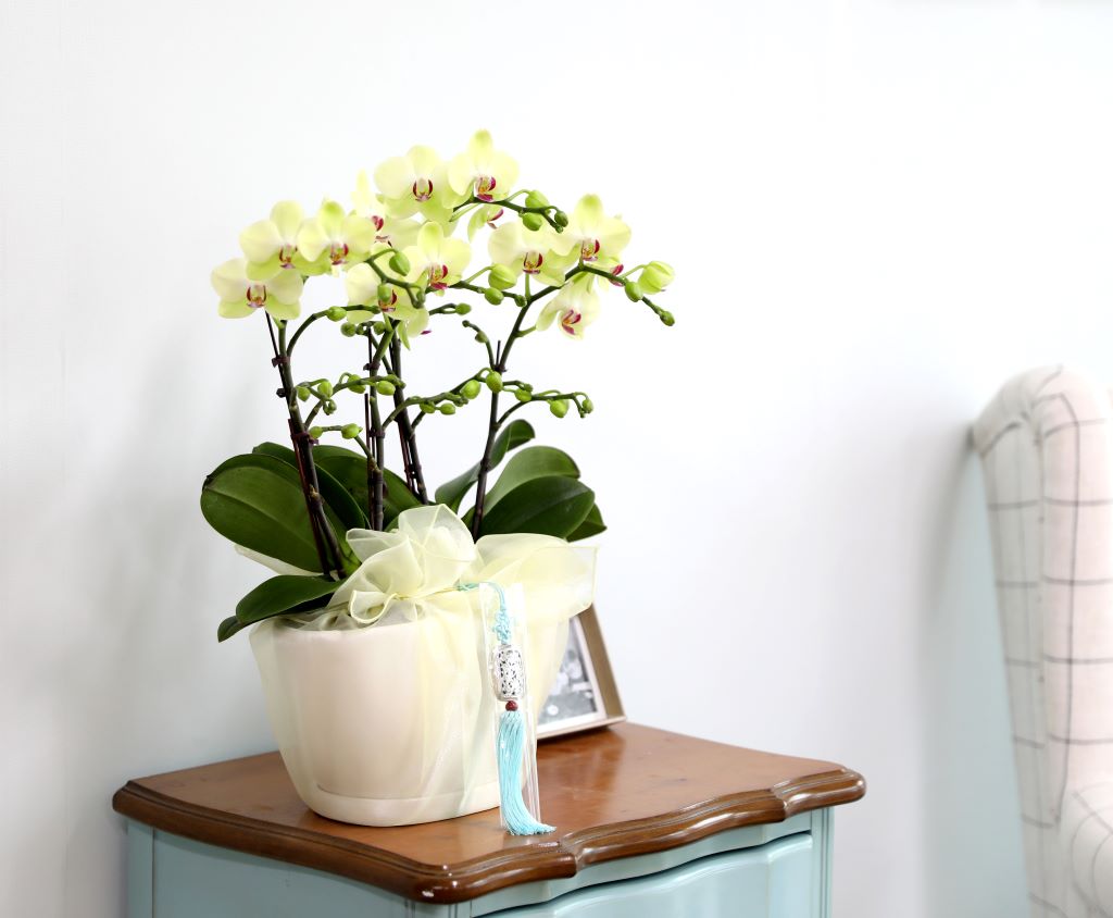 ǳ  ȣ  - ȣ  (,Ϻθ)  ɹ