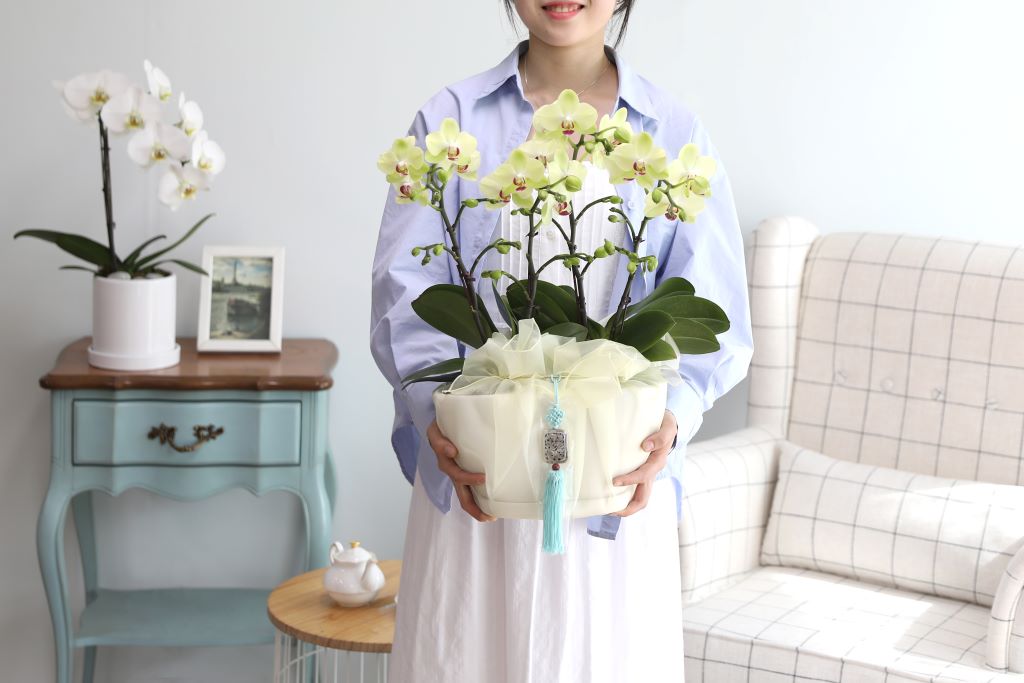 ǳ  ȣ  - ȣ  (,Ϻθ)  ɹ