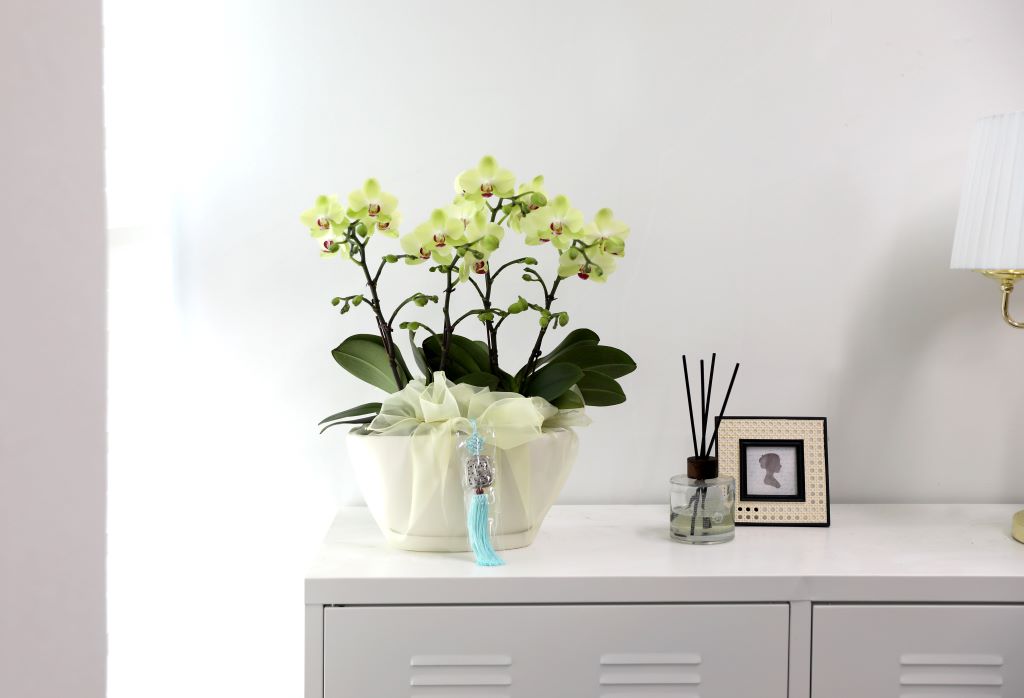 ǳ  ȣ  - ȣ  (,Ϻθ)  ɹ