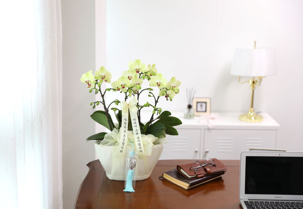 ǳ  ȣ  - ȣ  (,Ϻθ)  ɹ