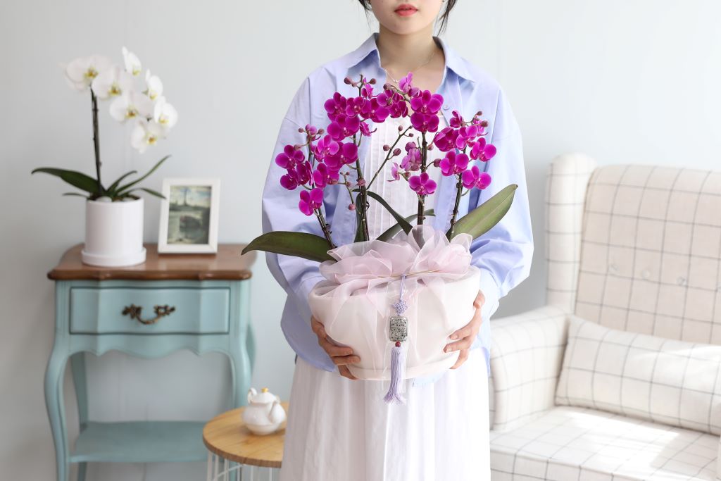 ǳ  ȣ  - ũȣ õȫ  (,Ϻθ)  ɹ