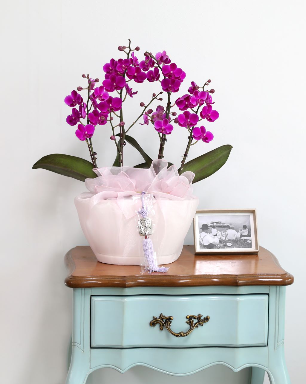 ǳ  ȣ  - ũȣ õȫ  (,Ϻθ)  ɹ