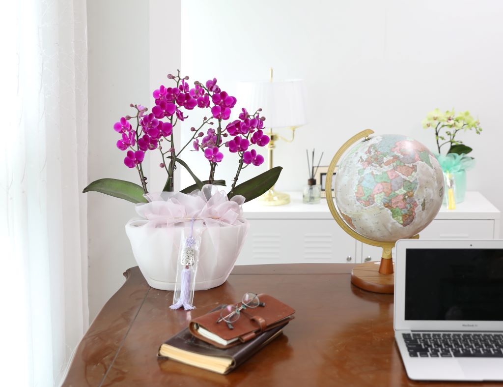 ǳ  ȣ  - ũȣ õȫ  (,Ϻθ)  ɹ