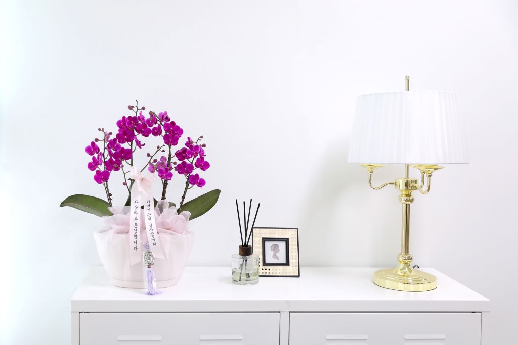 ǳ  ȣ  - ũȣ õȫ  (,Ϻθ)  ɹ