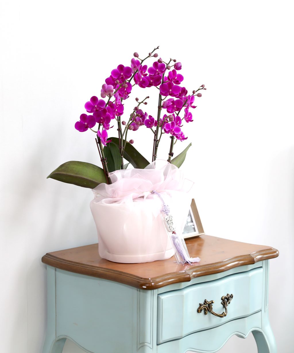 ǳ  ȣ  - ũȣ õȫ  (,Ϻθ)  ɹ