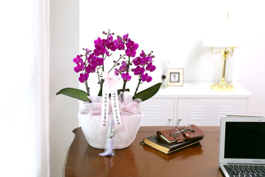 ǳ  ȣ  - ũȣ õȫ  (,Ϻθ)  ɹ