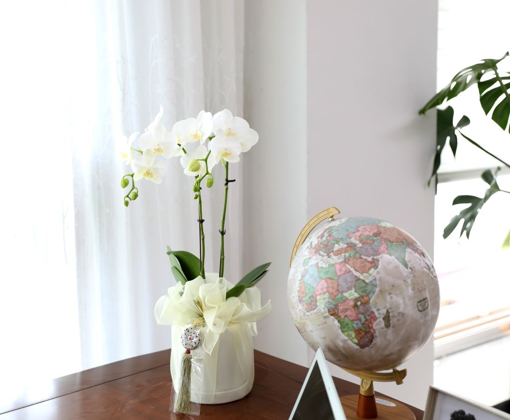 ½º½ÂÀdz¯ ¼±¹° Á¤¼º°¡µæÈ£Á¢¶õ ¼±¹° - ÈÀÌÆ®È£Á¢ ¾Æ¸¶¸±¸®½º (¼¿ïÀüÁö¿ª,¼öµµ±ÇÀϺθ¸°¡´É) ²ÉÁý ²É¹è´Þ