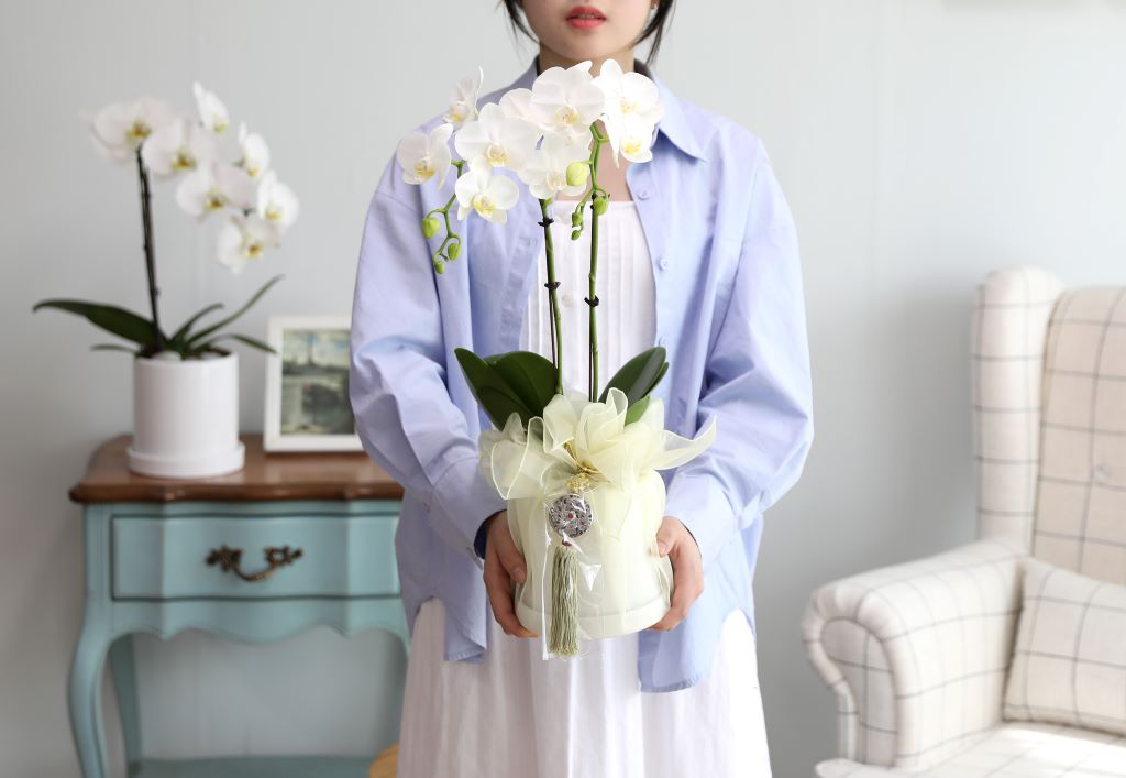 ½º½ÂÀdz¯ ¼±¹° Á¤¼º°¡µæÈ£Á¢¶õ ¼±¹° - ÈÀÌÆ®È£Á¢ ¾Æ¸¶¸±¸®½º (¼¿ïÀüÁö¿ª,¼öµµ±ÇÀϺθ¸°¡´É) ²ÉÁý ²É¹è´Þ